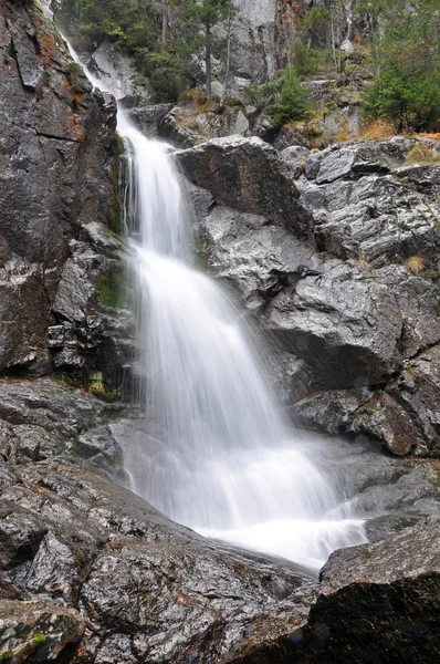 Vackert vattenfall i skogen — Stockfoto
