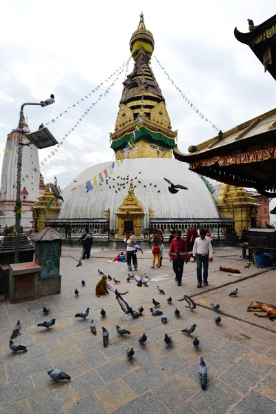 Swayambhunath buddhistischer Stupa, Nepal — Stockfoto