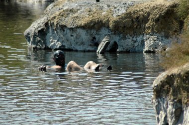 Tuzlu üzerinde yüzen adam benim terk edilmiş bir tuz su