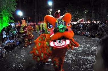 Ejderha dansı sırasında Tet ay yeni yıl Vietnam