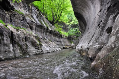Vahşi bir geçit geçen nehir