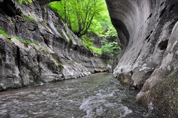 Fluss, der durch eine wilde Schlucht fließt — Stockfoto