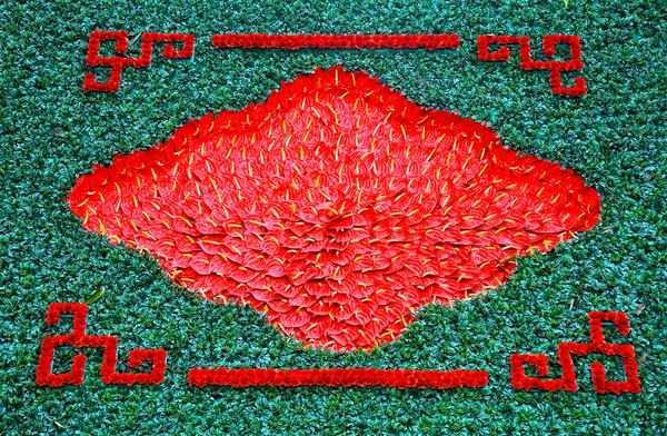 빨간 플라밍고 백합 꽃, 칼라 릴리와 배경 — 스톡 사진
