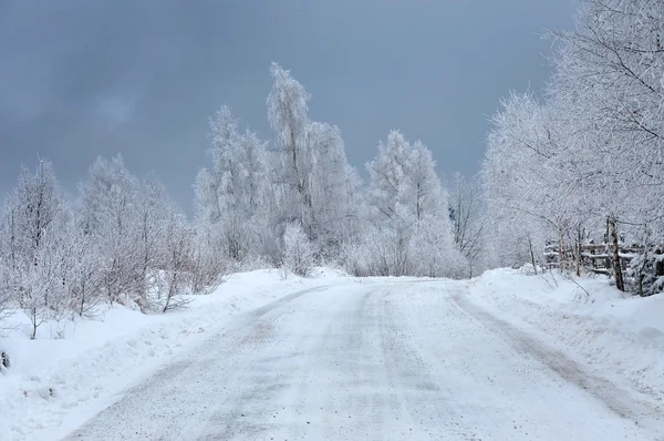 Frosty winter landscape