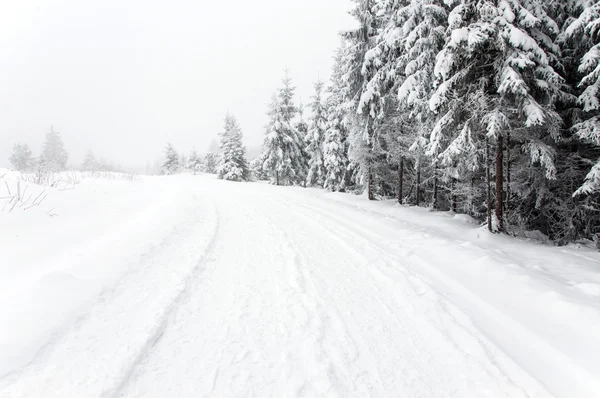 Carretera nevada en el bosque — Foto de Stock