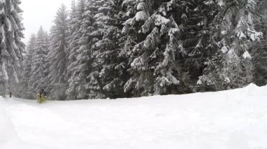 Husky köpekleri ile çevrede yarış