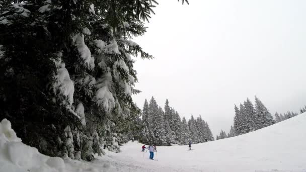 Skiër springen boven camera — Stockvideo