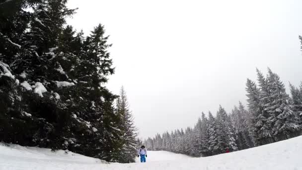 Skidåkare hoppa framför kameran — Stockvideo