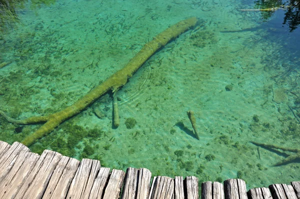 Puente de madera sobre un estanque en el Parque Nacional de Plitvice — Foto de Stock