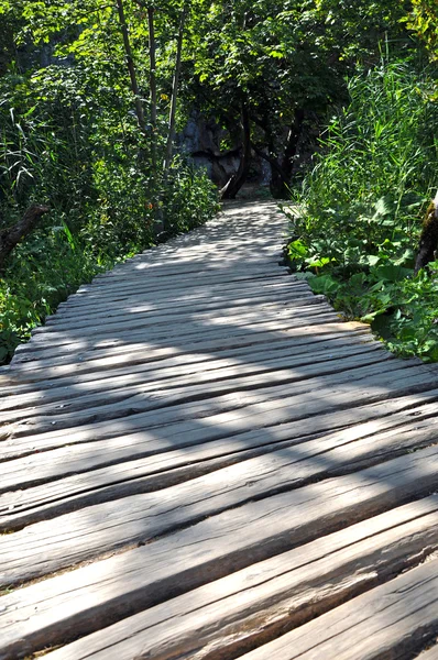 Plitvice Ulusal Parkı 'ndaki bir Göl üzerindeki Tahta Köprü — Stok fotoğraf