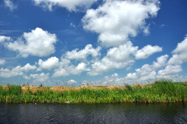 Ligne de flottaison dans le delta du Danube, Roumanie — Photo