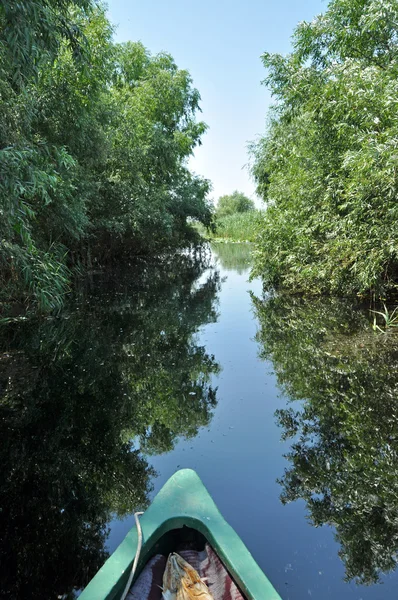 Kanoistika v deltě Dunaje, Rumunsko — Stock fotografie