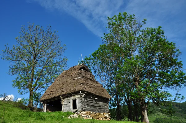 Traditionele Roemeense houten schuur met rieten dak — Stockfoto