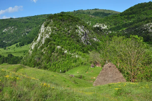 Гірське село з ізольованими дерев'яними будинками — стокове фото