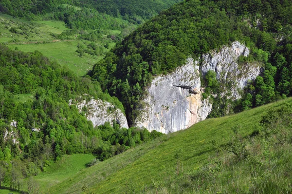 Green vibrant pasture with limestone rocks — Stock Photo, Image