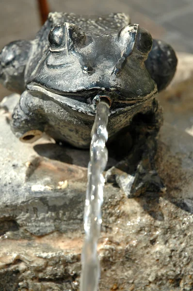 真鍮カエルと水ジェットの泉 — ストック写真