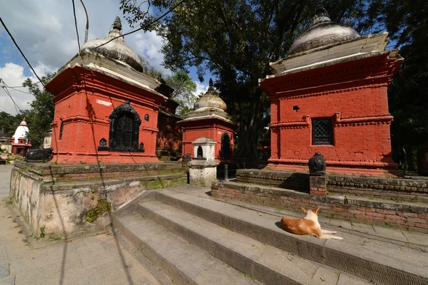Forntida hinduiska templet i Pashupatinath före jordbävningen som — Stockfoto