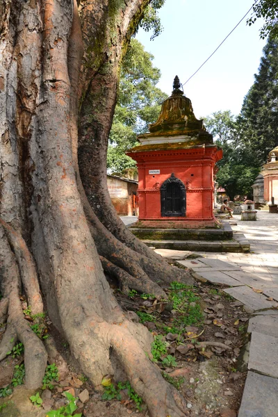 Antico tempio indù a Pashupatinath prima del terremoto che — Foto Stock