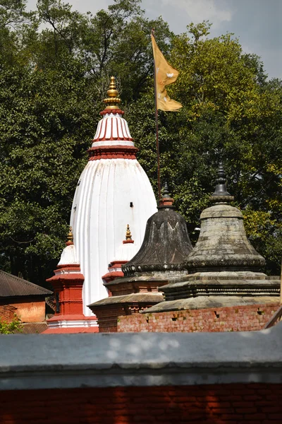 Antiguo templo hindú en Pashupatinath antes del terremoto que —  Fotos de Stock