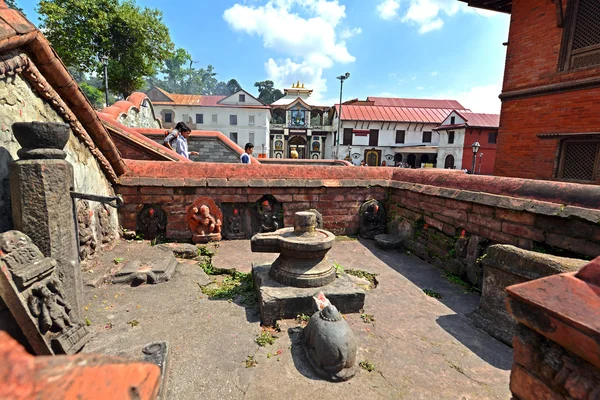 Antika Unesco heritage arkitektur i Pashupatinath, nu skado — Stockfoto