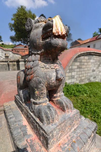 Oude Unesco erfgoed architectuur in Pashupatinath Crematie, Nepal, nu damag — Stockfoto