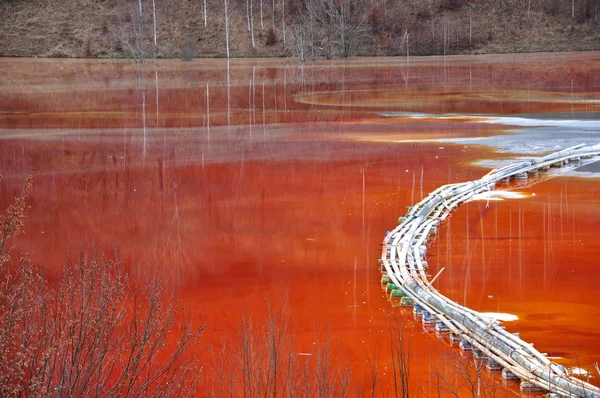 Poluição de um lago com água contaminada de uma mina de ouro . — Fotografia de Stock