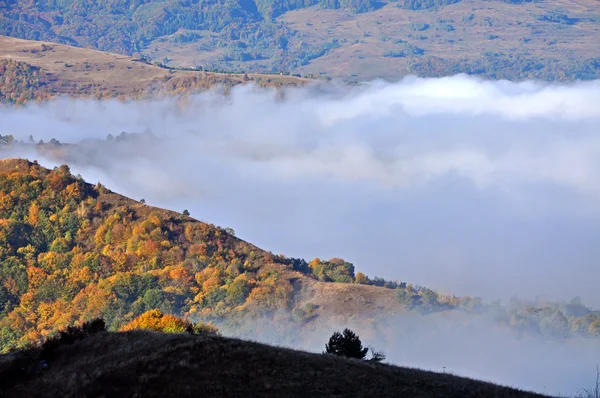 Paysage de montagne forêt d'automne coloré — Photo