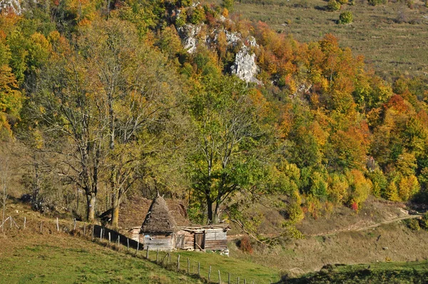 Estável de madeira com telhado de palha nas montanhas — Fotografia de Stock