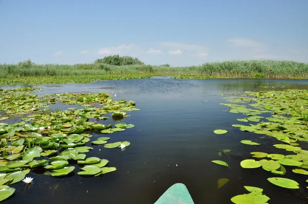 Att utforska Danube deltan med båt — Stockfoto