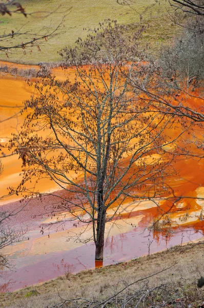 Waste water pollution of a copper mine. Geamana, Rosia Montana, — Stock Photo, Image
