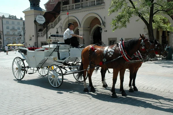 Koń napędzany przewozu w Kraków, Polska — Zdjęcie stockowe