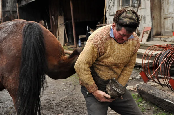 Herrero hincando un caballo —  Fotos de Stock