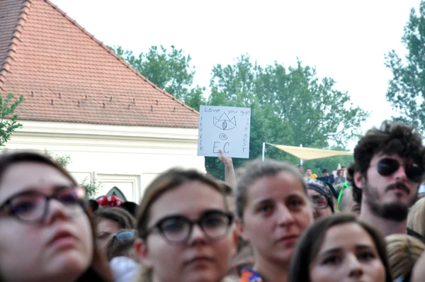 Crowd at a live concert — Stock Photo, Image