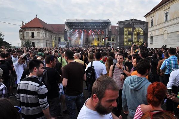 Kočičí říše provádí z koncertu — Stock fotografie