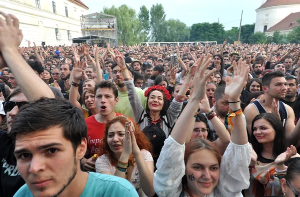 Párty dav během živého koncertu — Stock fotografie