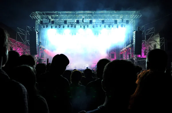 Crowd of partying people at a live concert — Stock Photo, Image