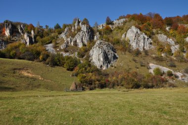 sonbahar sonbahar yaprakları