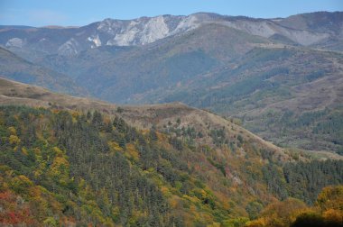 sonbahar sonbahar yaprakları