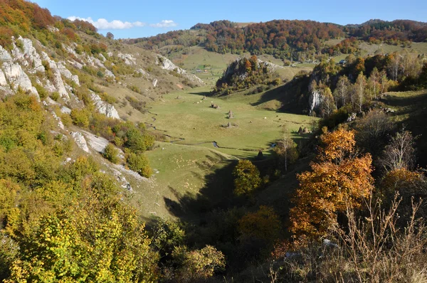 Осінній восени листя — стокове фото