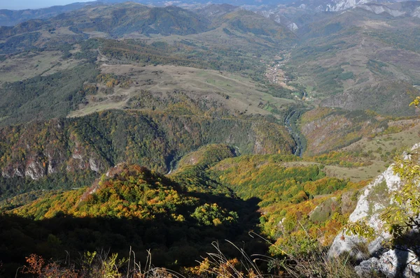 Sonbahar sonbahar yaprakları — Stok fotoğraf