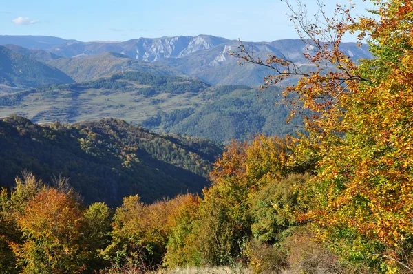 Autumn fall foliage — Stock Photo, Image