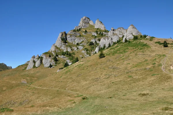 Гірський пейзаж в Карпатах — стокове фото