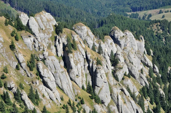 Bela vista da montanha, rochas sedimentares nos Cárpatos — Fotografia de Stock