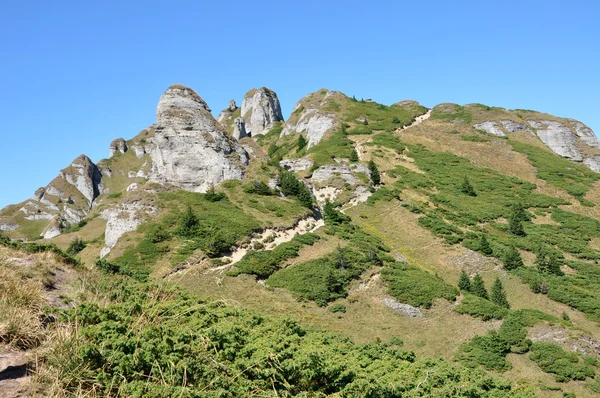 Vackra berg vista, sedimentära bergarter i Karpaterna — Stockfoto