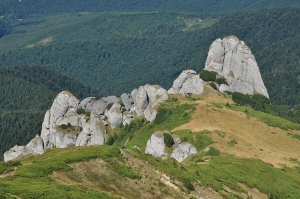 Höjd, vackra, skönhet, blå, Karpaterna, Karpaterna, ciucas, moln, molnigt, konglomerat, dag, Europa, geologi, grön, höjd, vandring, vandring, juniper, landskap, kalksten, äng, berg, berg, naturliga, natur, utomhus, park, Stig, ärter — Stockfoto