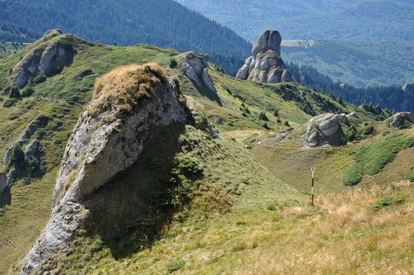 Gyönyörű hegyi kilátás, a Kárpátok üledékes kőzetek — Stock Fotó