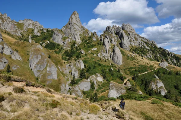 Karpatlar'ın dağ manzarası — Stok fotoğraf