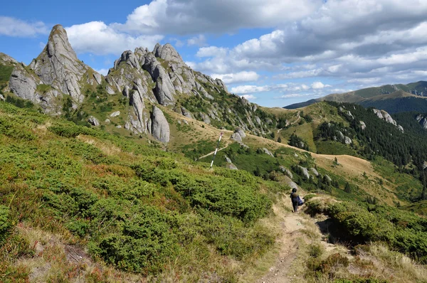 Paysage de montagne dans les carpates — Photo