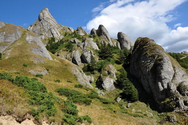 Hermosa vista de la montaña, rocas sedimentarias en los Cárpatos — Foto de Stock