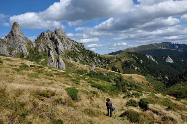 Paysage de montagne dans les carpates — Photo